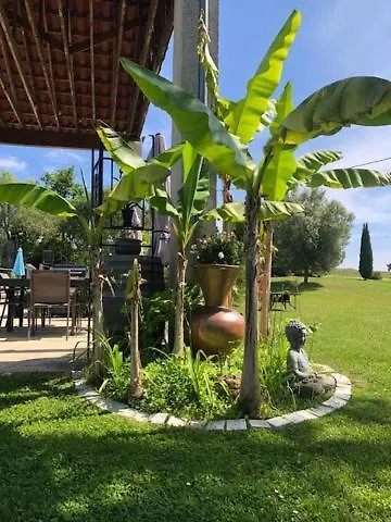 L'insouciant - Domaine La Rose Des Vents Hébergement de vacances Castelnau-sur-lʼAuvignon